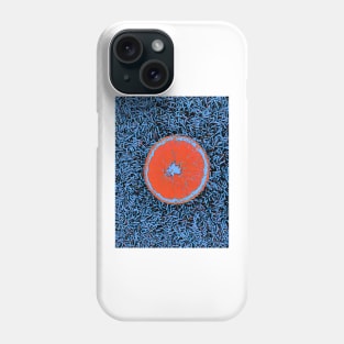 Orange Slice Phone Case