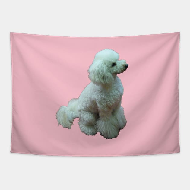 Apricot The Poodle Tapestry by Sunshinesmiles