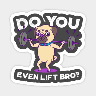 Pug- Do you even lift bro? Magnet