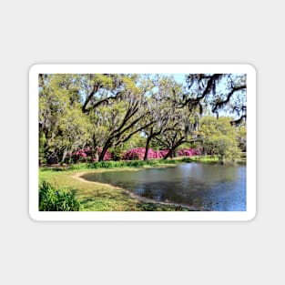 Beauty By The Pond Magnet