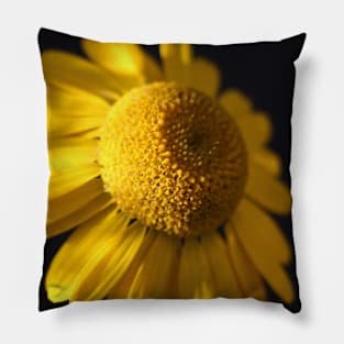 Yelow for us Pillow