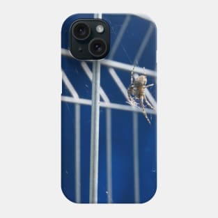 Spider In The Web On Metal Fence Phone Case