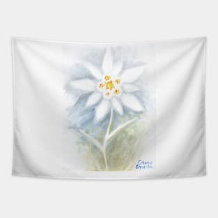 Leontopodium nivale or the  edelweiss flower Tapestry