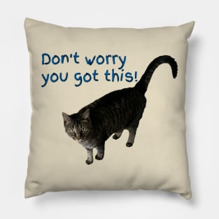 Don’t Worry You Got This (kitty) 2 Pillow