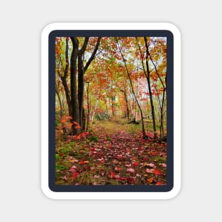 Beautiful Fall Magnet