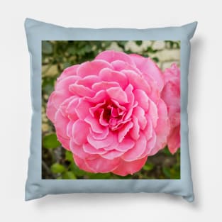 Rose Pillow