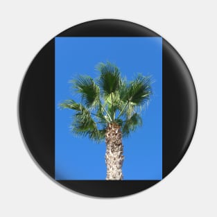 Close up of a Single Palm Tree with Blue Sky Pin