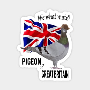 Pigeon of Great Britain Magnet