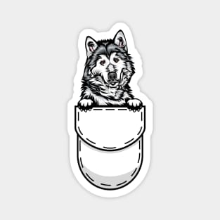 Funny Alaskan Malamute Pocket Dog Magnet