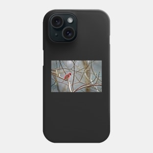 Common House Finch Phone Case