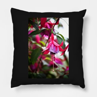 Flowering Fuchsia Pillow