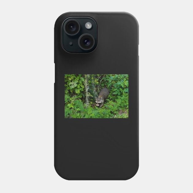 Racoon in Forest Phone Case by Sparkleweather