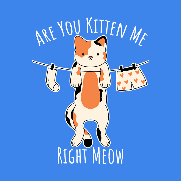 Are You Kitten Me Right Meow by PorcupineTees