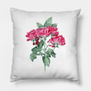 Roses Pillow