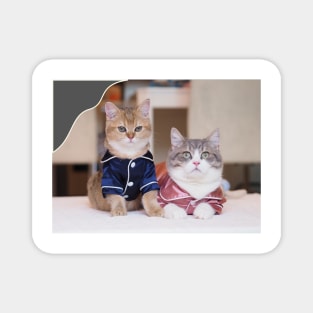 couple cute cats Magnet