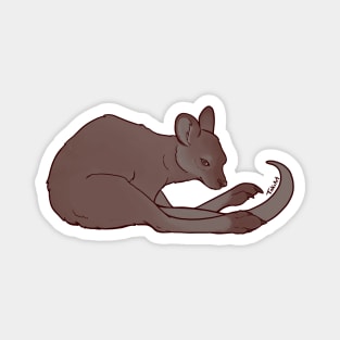 Weary Wallaby Magnet