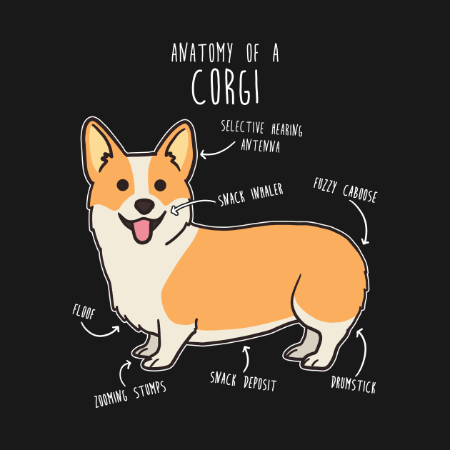 Corgi Anatomy by Psitta