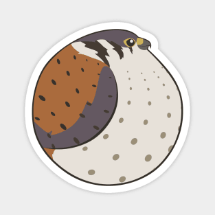 Bird Balls - Kestral Magnet