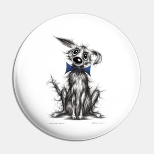 Mr Posh paws Pin