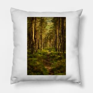 Foel Fynyddau Woodland - 2014 Pillow