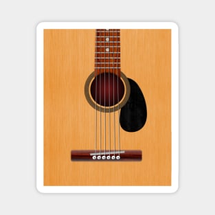 Acoustic Guitar Magnet