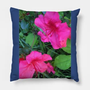 Azaleas Pillow