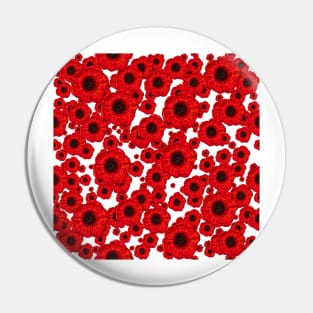 Poppies clear background Pin