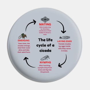 The life cycle of a cicada Pin