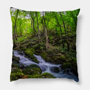 River through the forest Pillow