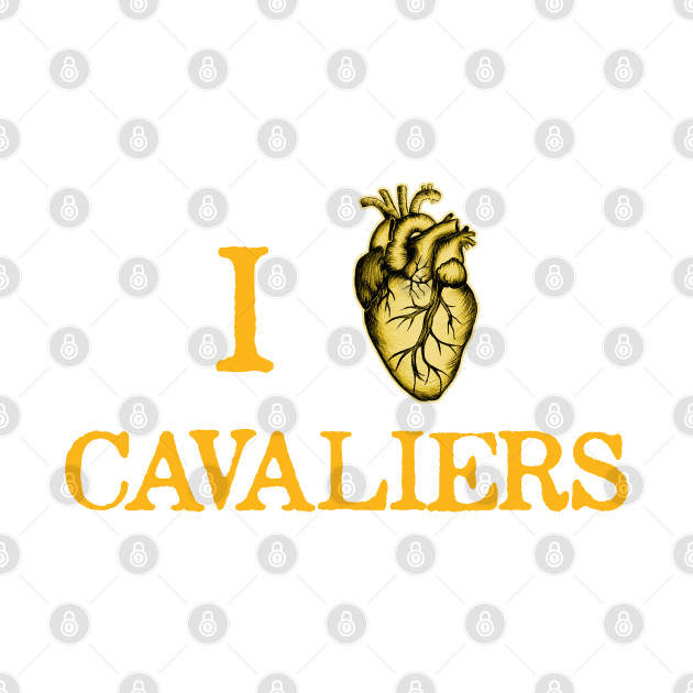 Discover I LOVE CAVALIERS - Cleveland Cavaliers - Cleveland Cavaliers Jersey - T-Shirt