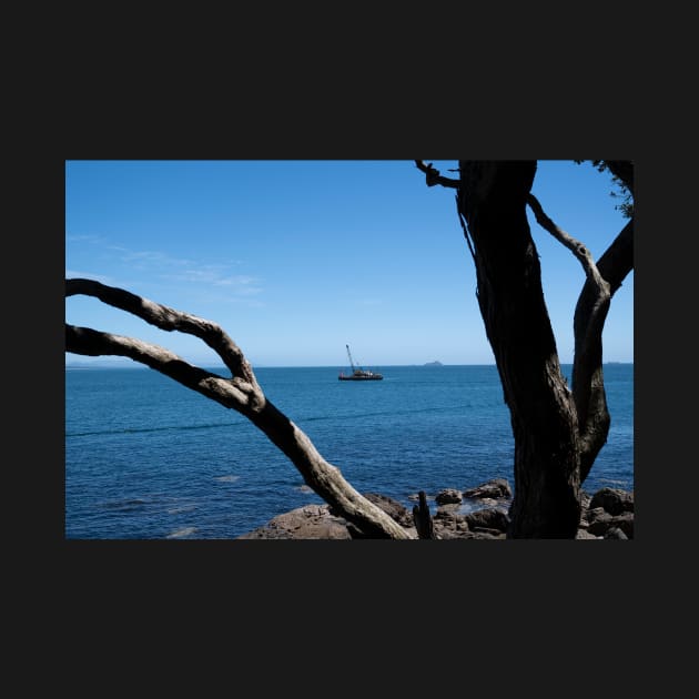 View through twisted pohutukawa tree branches across barge with crane blue ocean to distant horizon by brians101