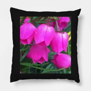 Petite Pink Bell Flowers Pillow