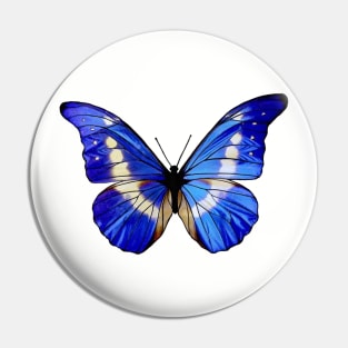 Beautiful Blue Butterfly Pin