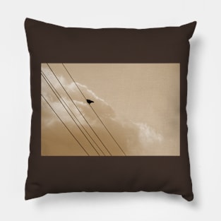 Pretty single bird on a wire, Blackbird silhouette photography Pillow