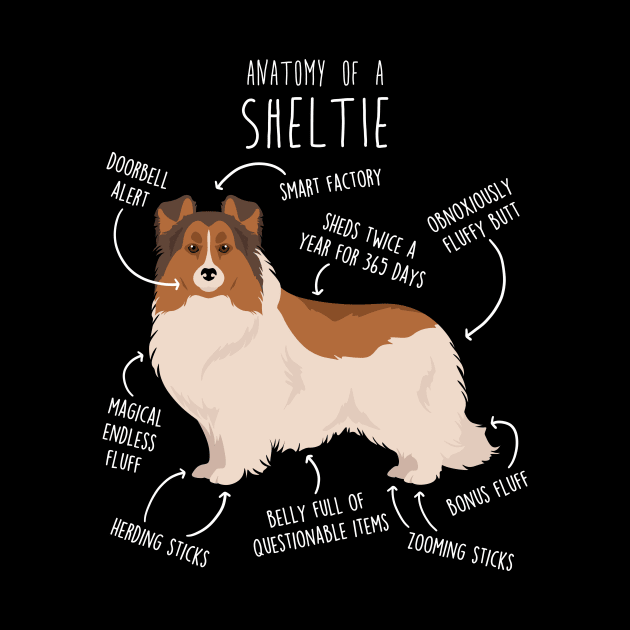 Color Headed White Sheltie Shetland Sheepdog Anatomy by Psitta