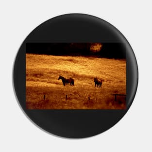 Fields of Gold Pin