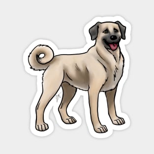 Dog - Anatolian Shepherd Kangal Shepherd Dog - Dun Magnet