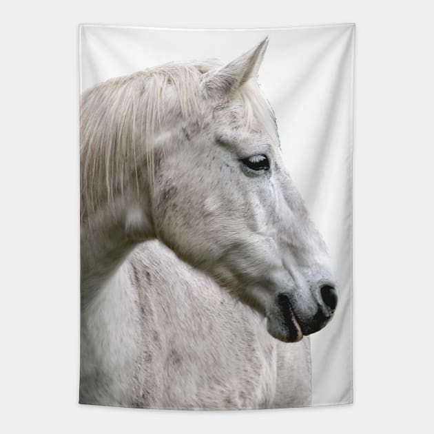 photo horse max Tapestry by mystudiocreate