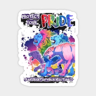 PRIDE-Trans Rights Magnet