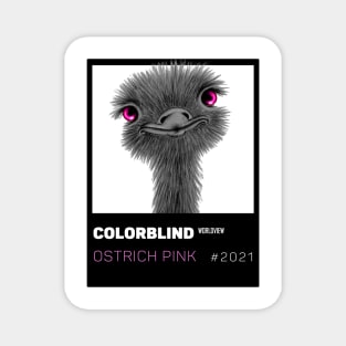 OSTRICH PINK - black card  by COLORBLIND WorldView Magnet