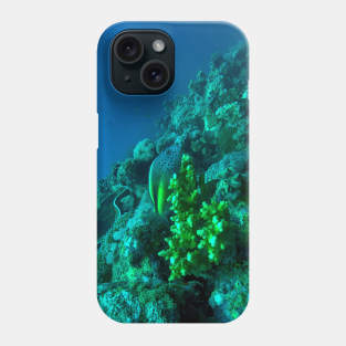 Coral reef and fish Phone Case