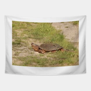 An Old Snapping Turtle Surveying the Surroundings Tapestry