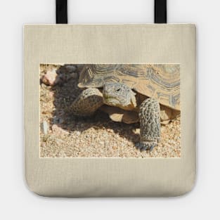 Desert tortoise, wildlife, reptiles, Desert Charmer Tote