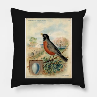 Red Robin, Vintage print, Circa 1800-1900 Pillow