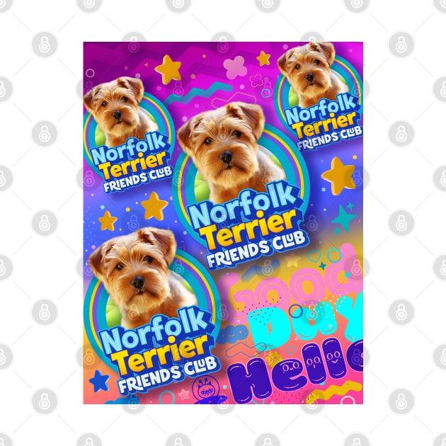 Norfolk Terrier puppy by Puppy & cute