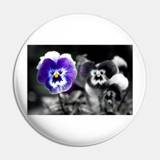 Blue Pansy Pansies Violas Summer Flowers Pin