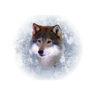 Wolf portrait T-Shirt