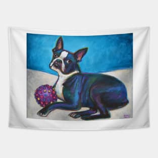 Boston Terrier with Toy Tapestry