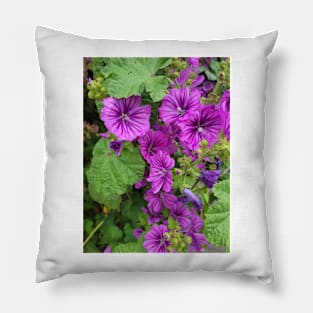 gift for birthday happy birthday beautiful flower Pillow