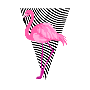 Flamingo. Summer. T-Shirt